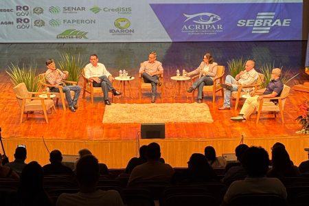 mesa redonda