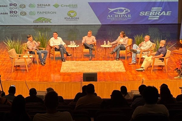 mesa redonda
